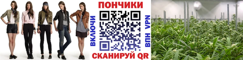 Каннабис марихуана  KRAKEN рабочий сайт  Сланцы 